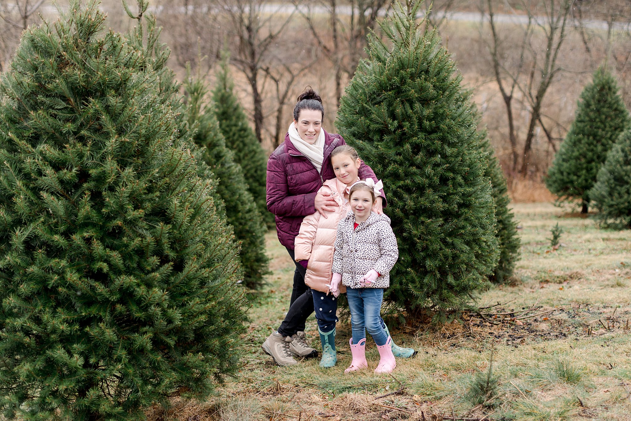 Valley View Christmas Tree Farm | Lehigh Valley Wedding Photographer - Hope &amp; Stay Photography